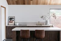 Barn House Penguin — showcase 5